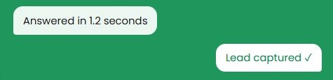 LeadX answers, then converts